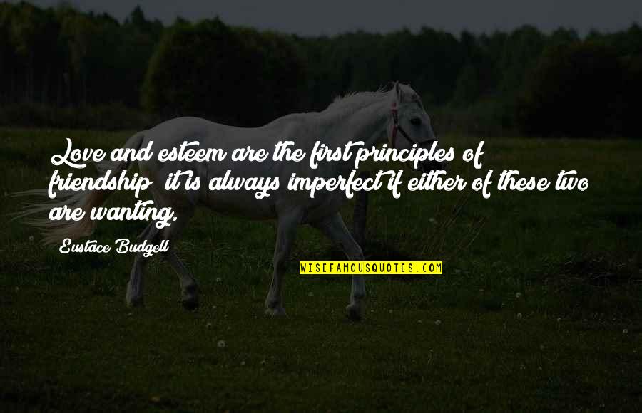 First Friendship Then Love Quotes By Eustace Budgell: Love and esteem are the first principles of