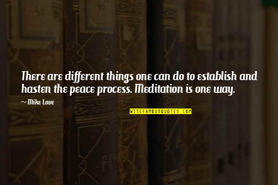 First Hello And Last Goodbye Quotes By Mike Love: There are different things one can do to