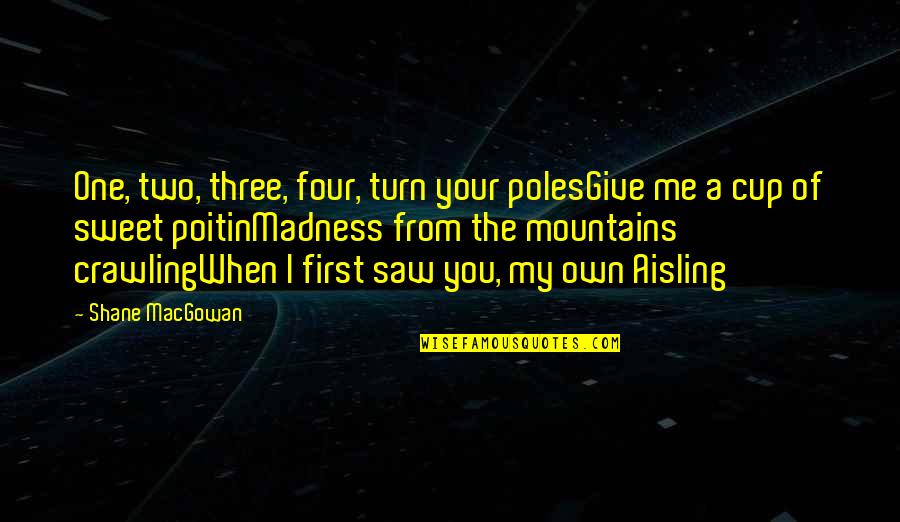 First I Saw You Quotes By Shane MacGowan: One, two, three, four, turn your polesGive me