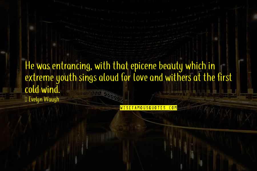 First Infatuation Quotes By Evelyn Waugh: He was entrancing, with that epicene beauty which