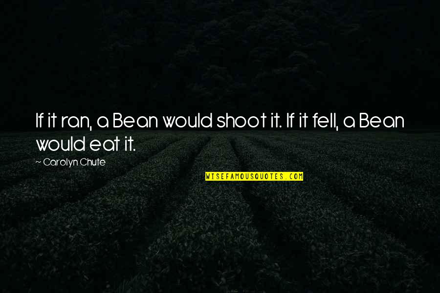 First Ireland Quotes By Carolyn Chute: If it ran, a Bean would shoot it.