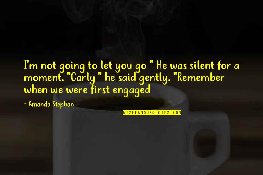 First Moment Quotes By Amanda Stephan: I'm not going to let you go "