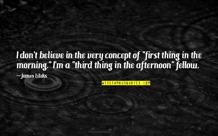 First Morning Quotes By James Lileks: I don't believe in the very concept of