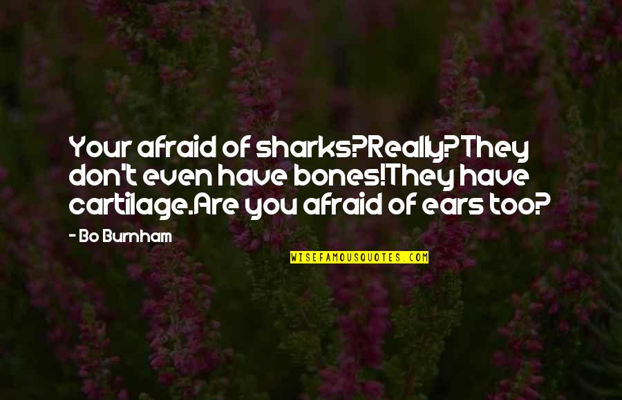 First Night In New House Quotes By Bo Burnham: Your afraid of sharks?Really?They don't even have bones!They First Night In New House Quotes By Bo Burnham: Your afraid of sharks?Really?They don't even have bones!They