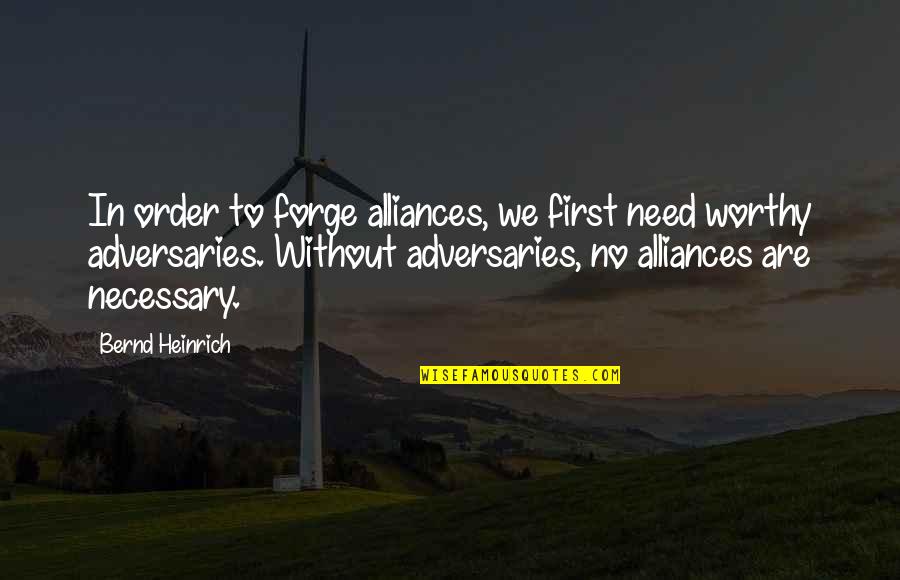 First Order Quotes By Bernd Heinrich: In order to forge alliances, we first need