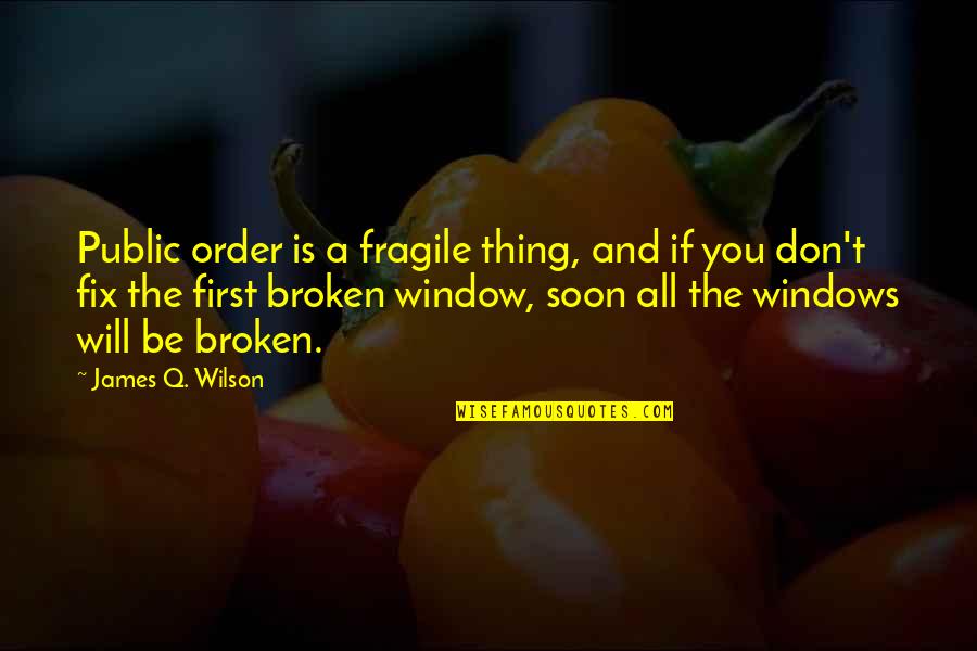 First Order Quotes By James Q. Wilson: Public order is a fragile thing, and if