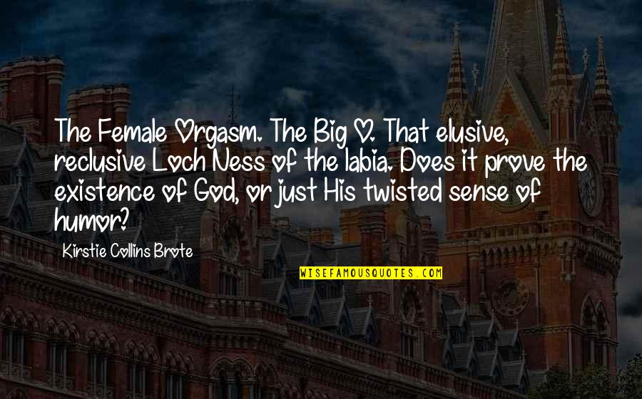 First Sex Quotes By Kirstie Collins Brote: The Female Orgasm. The Big O. That elusive,