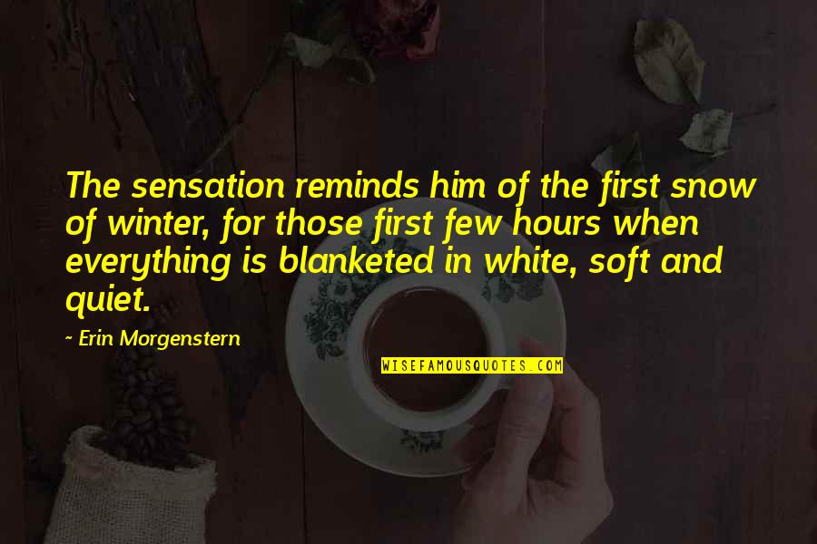 First Snow Quotes By Erin Morgenstern: The sensation reminds him of the first snow