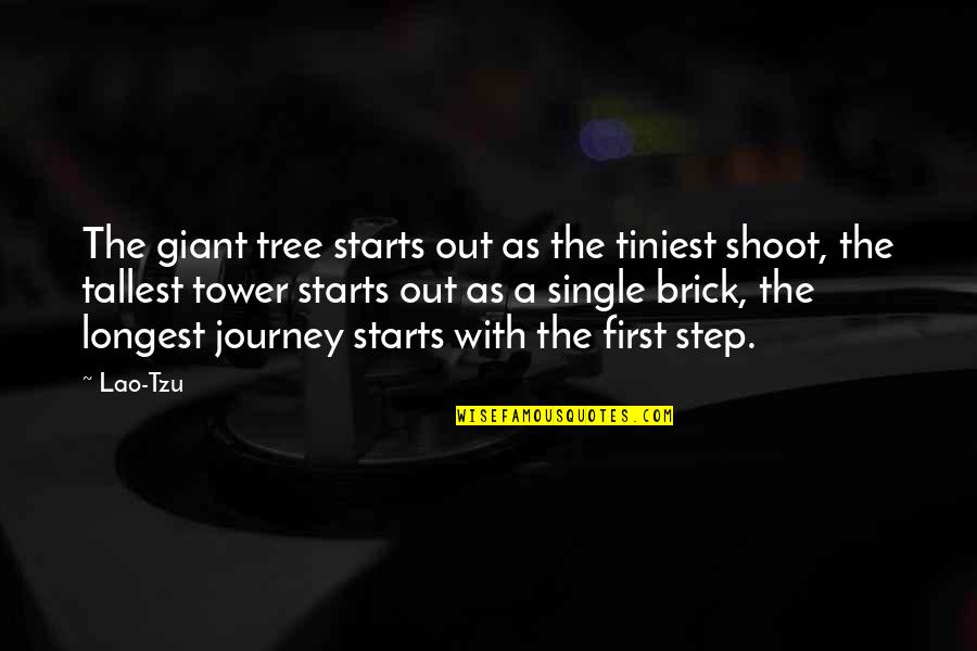 First Step In A Journey Quotes By Lao-Tzu: The giant tree starts out as the tiniest First Step In A Journey Quotes By Lao-Tzu: The giant tree starts out as the tiniest