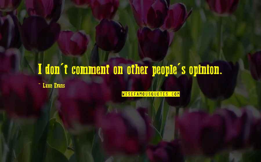 First Sunday Of The Month Quotes By Luke Evans: I don't comment on other people's opinion.