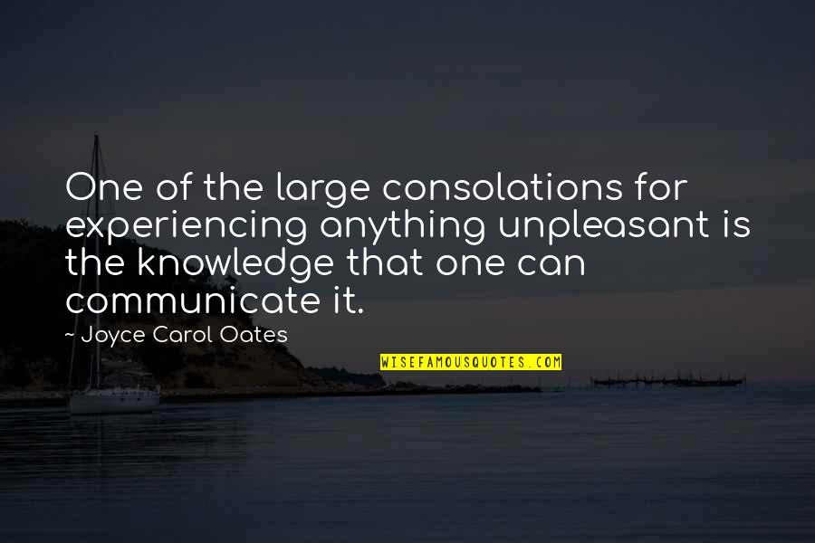 First Thought In The Morning Quotes By Joyce Carol Oates: One of the large consolations for experiencing anything