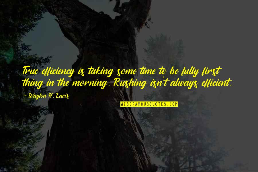 First Time Business Quotes By Waylon H. Lewis: True efficiency is taking some time to be First Time Business Quotes By Waylon H. Lewis: True efficiency is taking some time to be