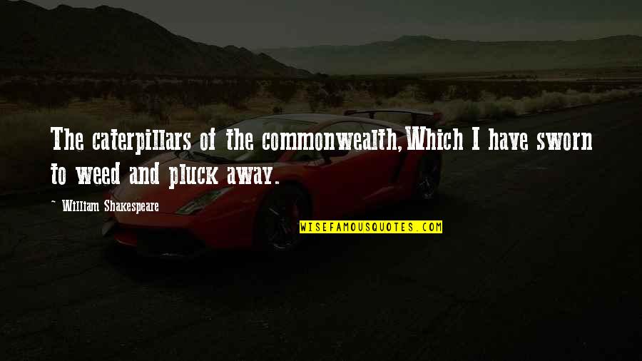 First Time Grandmother Quotes By William Shakespeare: The caterpillars of the commonwealth,Which I have sworn