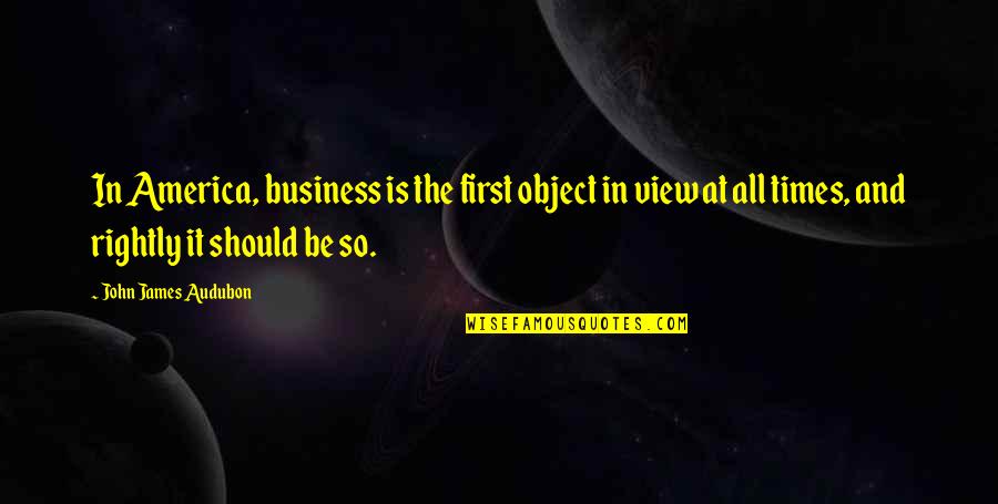 First Times Quotes By John James Audubon: In America, business is the first object in