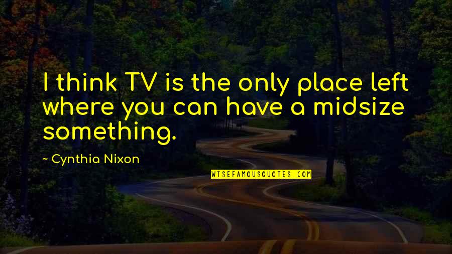 Fiscal Economics Quotes By Cynthia Nixon: I think TV is the only place left