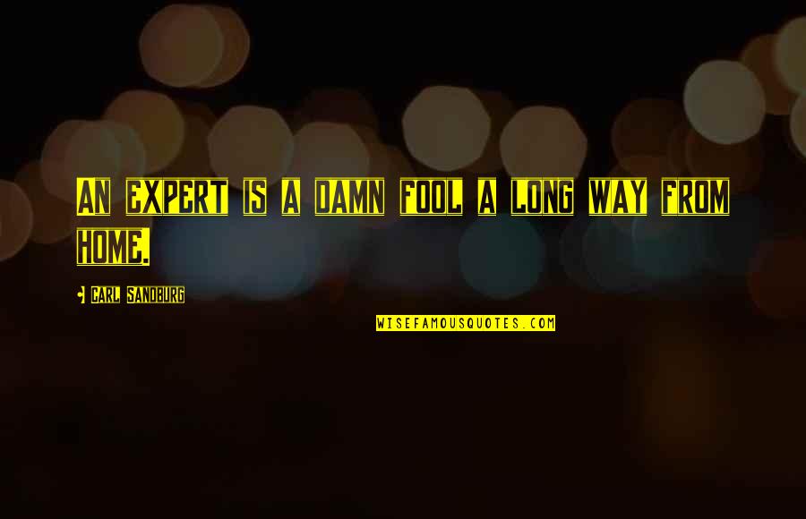 Fischbach Land Quotes By Carl Sandburg: An expert is a damn fool a long