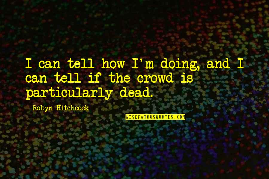 Fiseha Desta Quotes By Robyn Hitchcock: I can tell how I'm doing, and I