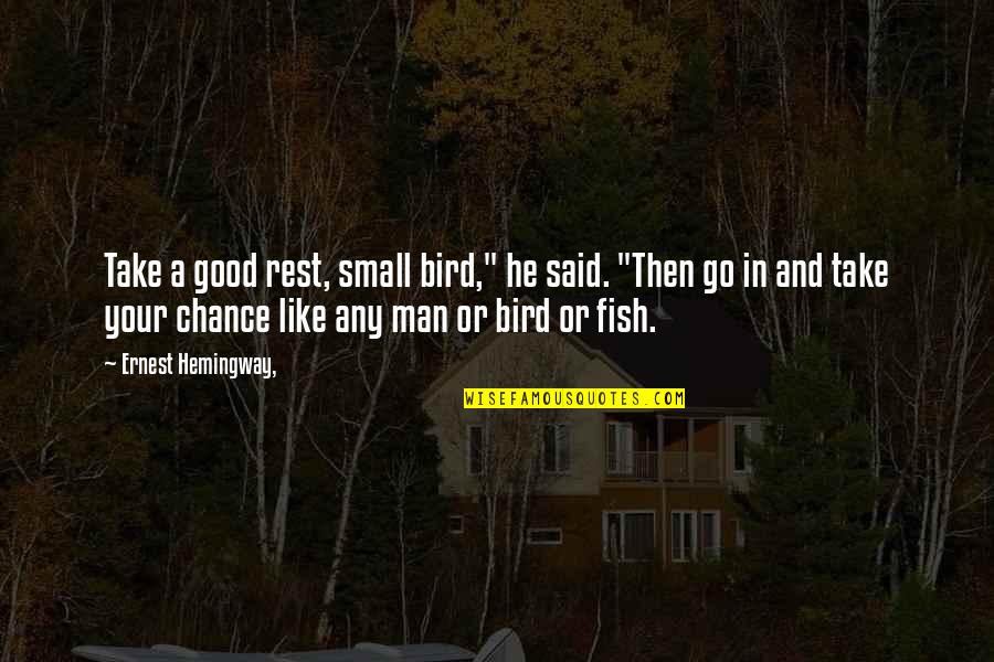 Fish And Bird Quotes By Ernest Hemingway,: Take a good rest, small bird," he said.