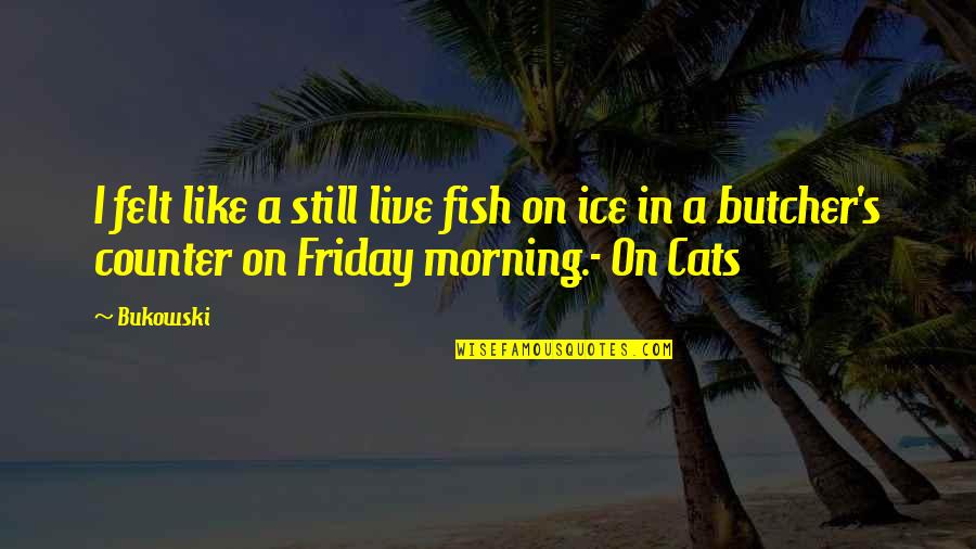 Fish Friday Quotes By Bukowski: I felt like a still live fish on