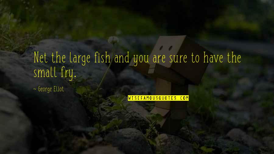 Fish Fry Quotes By George Eliot: Net the large fish and you are sure