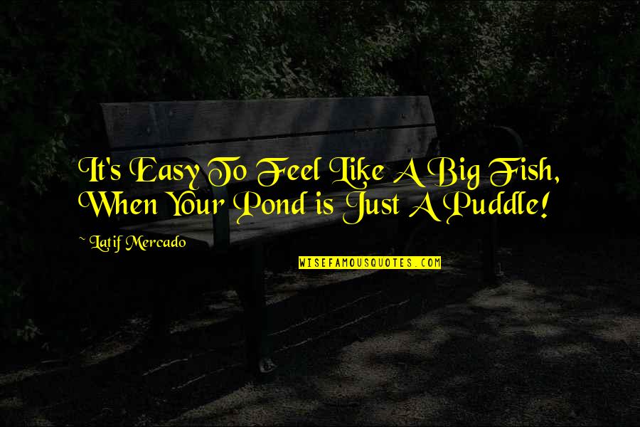 Fish In The Pond Quotes By Latif Mercado: It's Easy To Feel Like A Big Fish,