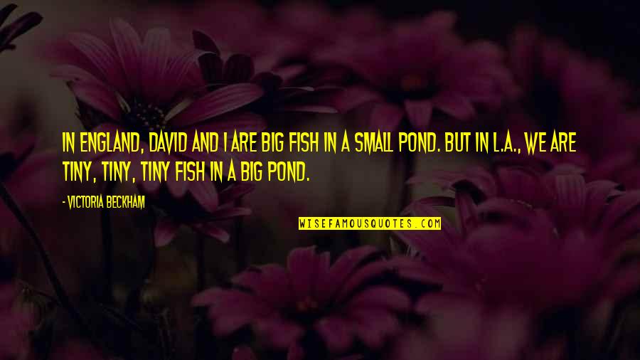 Fish In The Pond Quotes By Victoria Beckham: In England, David and I are big fish