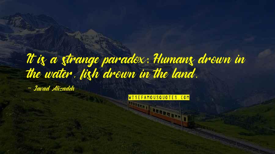 Fish In The Water Quotes By Javad Alizadeh: It is a strange paradox: Humans drown in