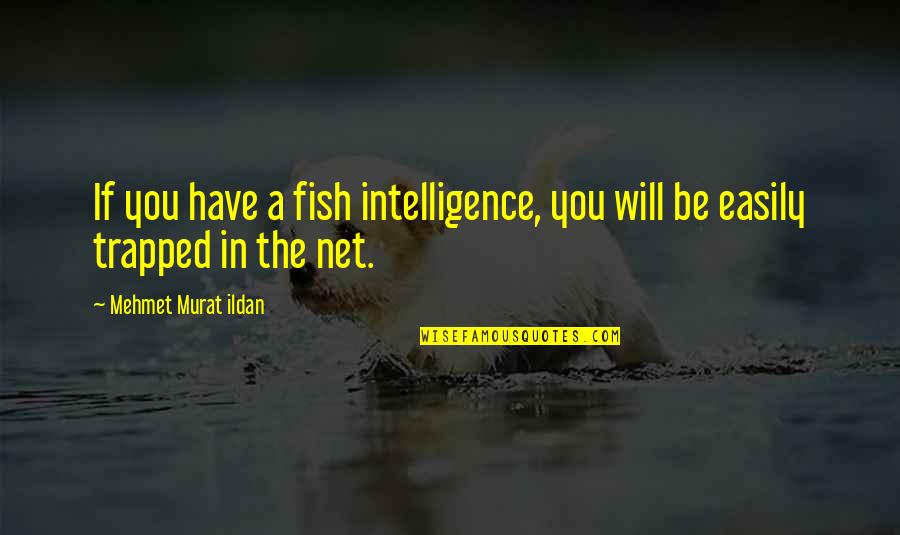 Fish Intelligence Quotes By Mehmet Murat Ildan: If you have a fish intelligence, you will