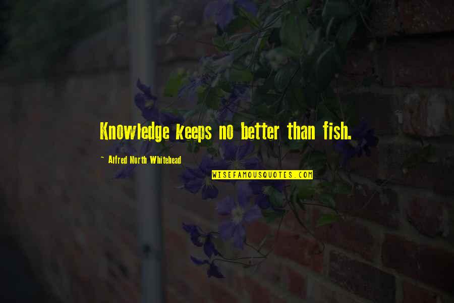 Fish Quotes By Alfred North Whitehead: Knowledge keeps no better than fish.
