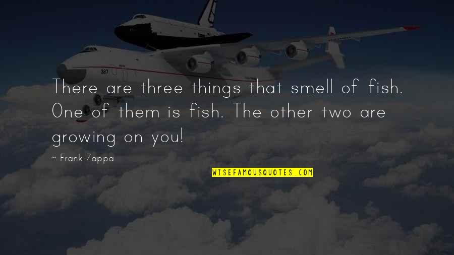 Fish Quotes By Frank Zappa: There are three things that smell of fish.