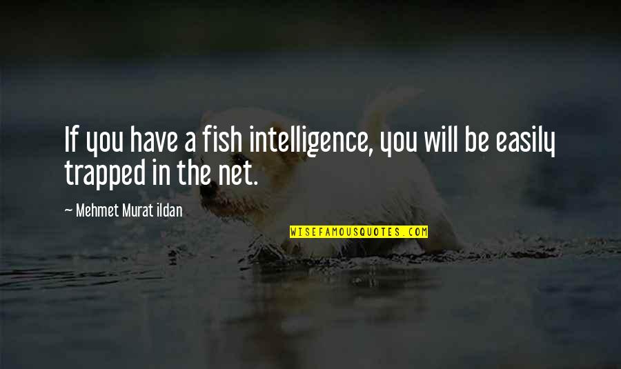 Fish Quotes By Mehmet Murat Ildan: If you have a fish intelligence, you will