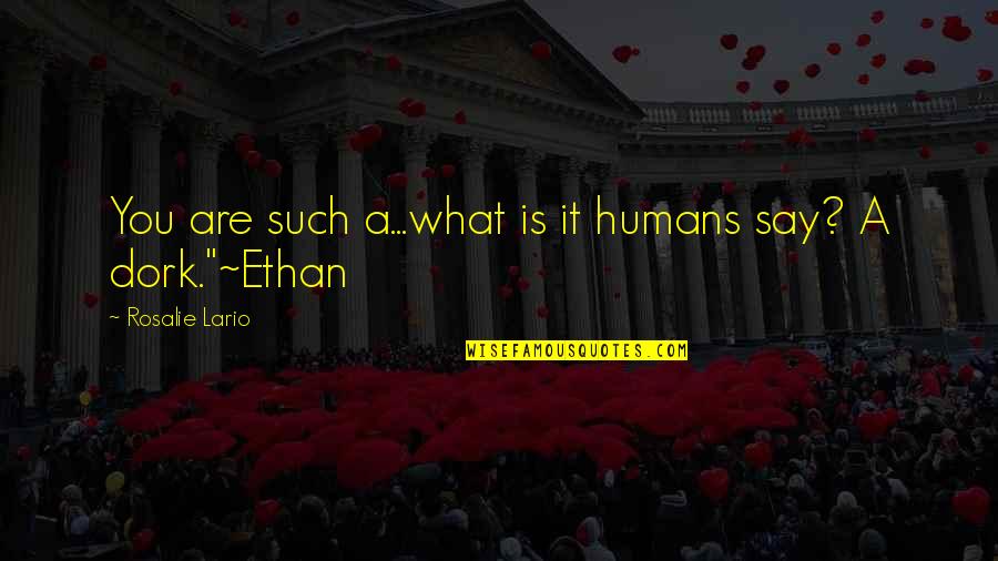 Fish Topping Quotes By Rosalie Lario: You are such a...what is it humans say? Fish Topping Quotes By Rosalie Lario: You are such a...what is it humans say?