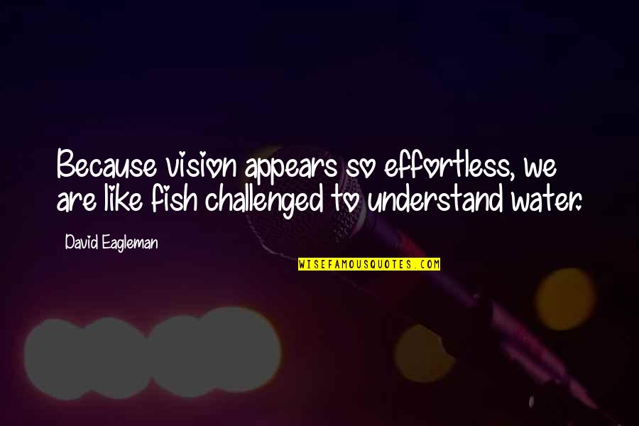 Fish Water Quotes By David Eagleman: Because vision appears so effortless, we are like