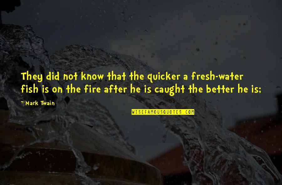 Fish Water Quotes By Mark Twain: They did not know that the quicker a