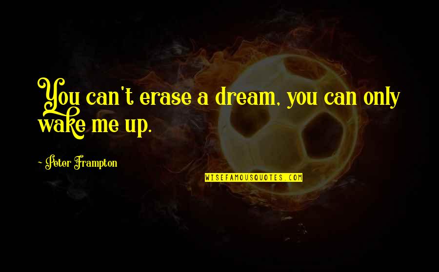 Fishback Dominick Quotes By Peter Frampton: You can't erase a dream, you can only Fishback Dominick Quotes By Peter Frampton: You can't erase a dream, you can only