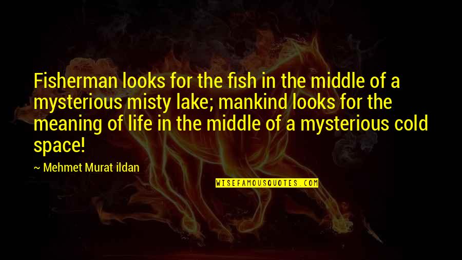 Fisherman Quotes By Mehmet Murat Ildan: Fisherman looks for the fish in the middle