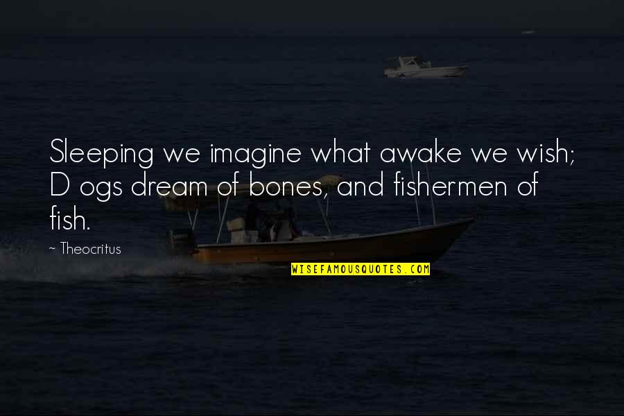 Fishermen And The Sea Quotes By Theocritus: Sleeping we imagine what awake we wish; D