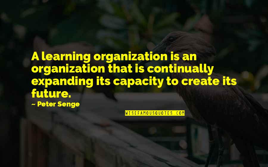 Fishiest Quotes By Peter Senge: A learning organization is an organization that is