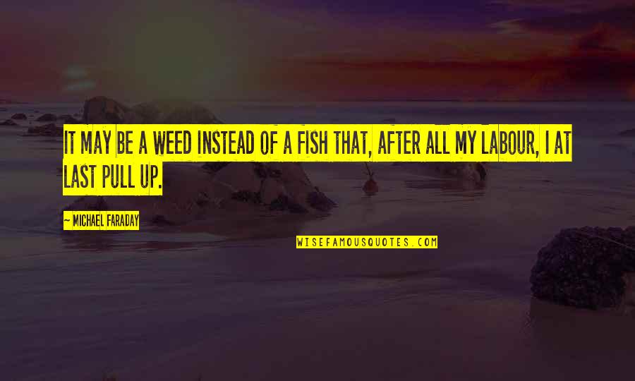Fishing And The Sea Quotes By Michael Faraday: It may be a weed instead of a
