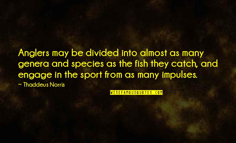 Fishing Sea Quotes By Thaddeus Norris: Anglers may be divided into almost as many
