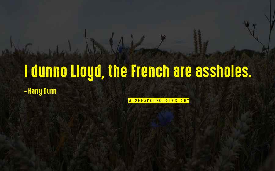 Fishops Quotes By Harry Dunn: I dunno Lloyd, the French are assholes.
