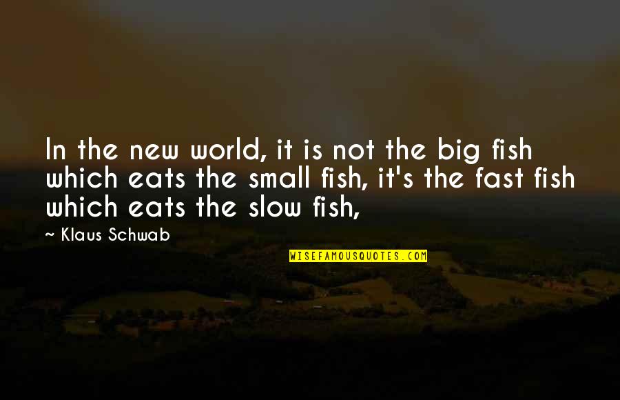 Fish's Quotes By Klaus Schwab: In the new world, it is not the