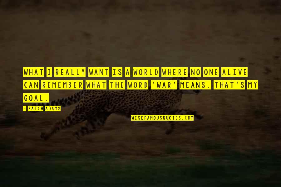Fissette Batzner Quotes By Patch Adams: What I really want is a world where