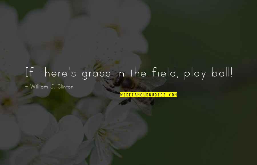 Fistfight Quotes By William J. Clinton: If there's grass in the field, play ball!