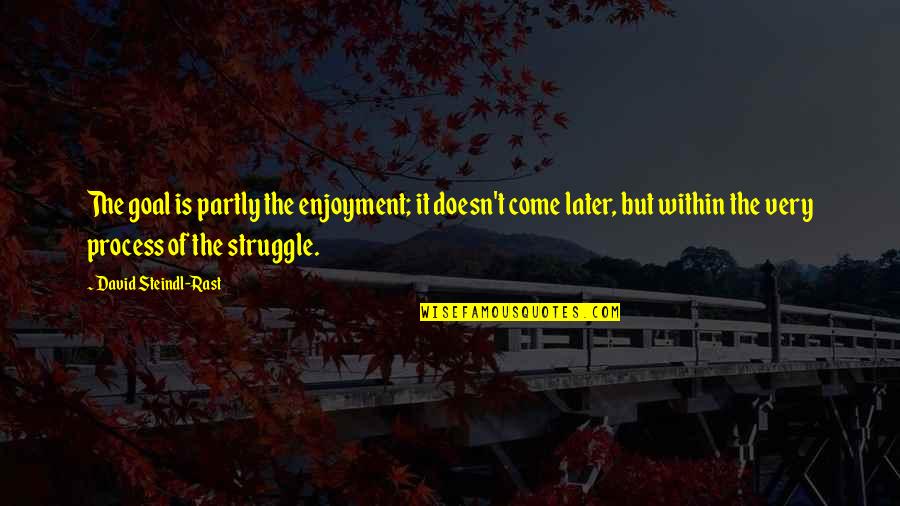 Fistful Of Dynamite Quotes By David Steindl-Rast: The goal is partly the enjoyment; it doesn't