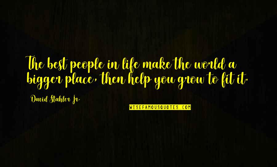 Fit 4 Life Quotes By David Stahler Jr.: The best people in life make the world