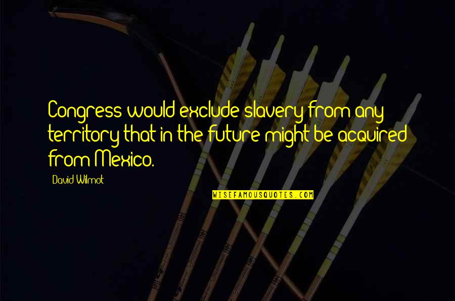 Fit Goals Quotes By David Wilmot: Congress would exclude slavery from any territory that Fit Goals Quotes By David Wilmot: Congress would exclude slavery from any territory that