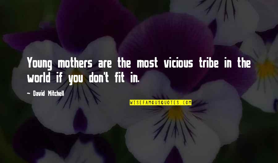 Fit In Quotes By David Mitchell: Young mothers are the most vicious tribe in