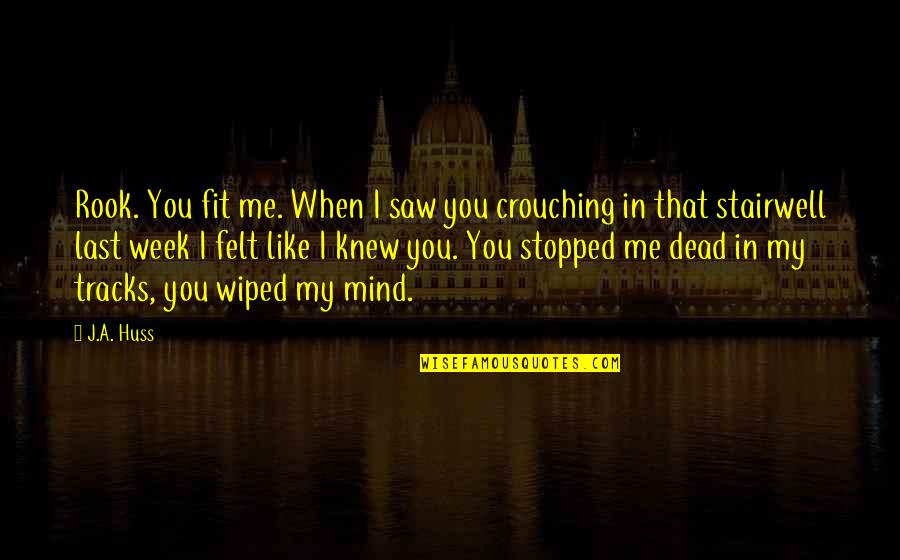 Fit In Quotes By J.A. Huss: Rook. You fit me. When I saw you