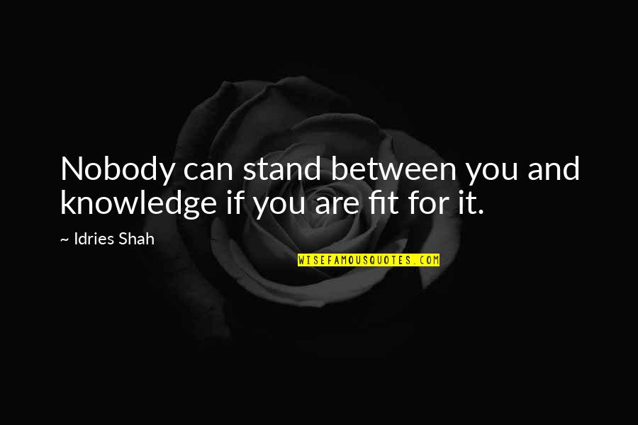 Fit In Stand Out Quotes By Idries Shah: Nobody can stand between you and knowledge if
